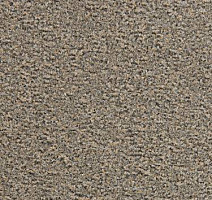 Ковровая плитка Modulyss Eco 100 С 817 фото 1 | FLOORDEALER