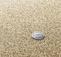 Ковролин Vorwerk Essential 1074/Parma Vorwerk 8f21 фото 1 | FLOORDEALER