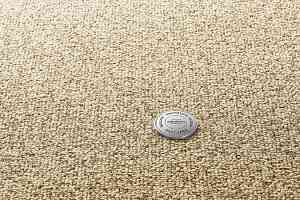 Ковролин Vorwerk Essential 1074/Parma Vorwerk 8f21 фото  | FLOORDEALER