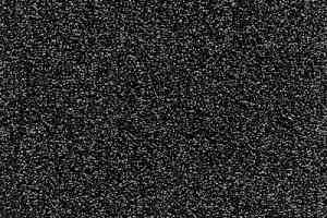 Ковролин Balta Splendid Saxony Splendid Saxony 0990 фото  | FLOORDEALER