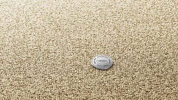 Ковролин Vorwerk Essential 1074/Parma Vorwerk 8f21 фото 1 | FLOORDEALER