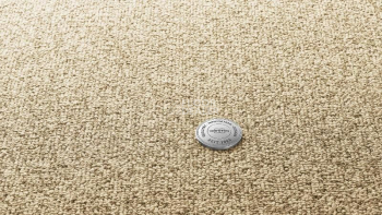 Ковролин Vorwerk Essential 1074/Parma Vorwerk 8f21 фото 1 | FLOORDEALER