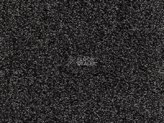 Ковролин Balta Splendid Saxony Splendid Saxony 0990 фото 1 | FLOORDEALER