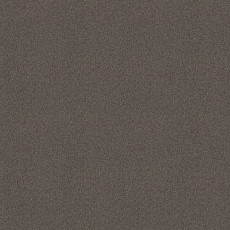 Ковровая плитка Tessera basis pro 4364 Brown фото 1 | FLOORDEALER