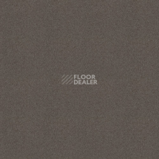 Ковровая плитка Tessera basis pro 4364 Brown фото 1 | FLOORDEALER