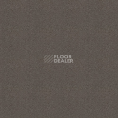 Ковровая плитка Forbo Tessera basis pro 4364 Brown фото 1 | FLOORDEALER