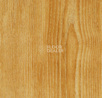 Кварцвиниловые полы Forbo Allura Decibel Material 9715AD8 saffron ash (100x20 cm) фото 1 | FLOORDEALER