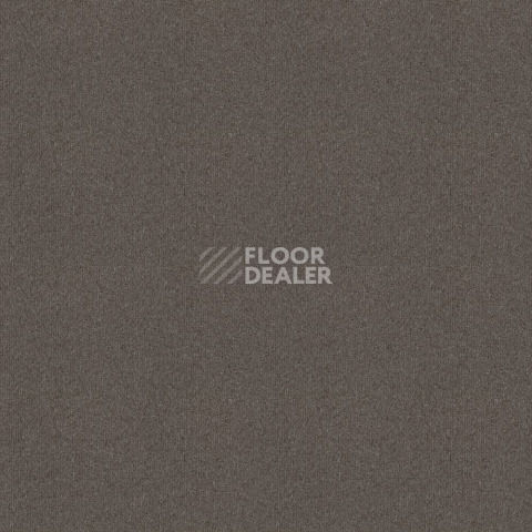 Ковровая плитка Forbo Tessera basis pro 4364 Brown фото 1 | FLOORDEALER