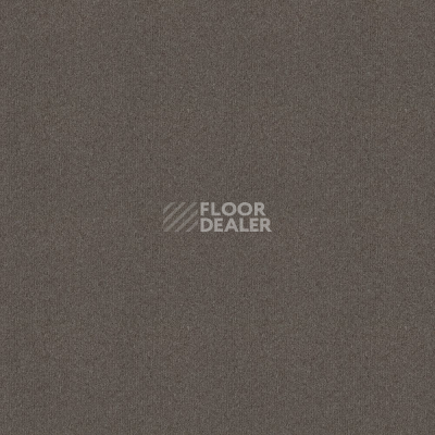 Ковровая плитка Forbo Tessera basis pro 4364 Brown фото 1 | FLOORDEALER