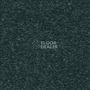 Ковролин AW Aphrodite 74 фото 1 | FLOORDEALER