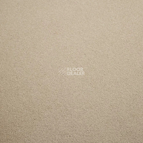 Haima Noble 69 фото 12 | FLOORDEALER