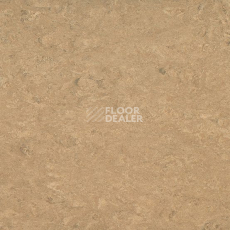 Линолеум Gerflor Marmorette DLW  2mm 0042 Shortcrust фото 1 | FLOORDEALER