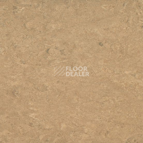 Линолеум Gerflor Marmorette DLW  2mm 0042 Shortcrust фото 1 | FLOORDEALER