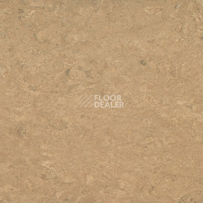 Линолеум Marmorette DLW  2mm 0042 Shortcrust фото 1 | FLOORDEALER