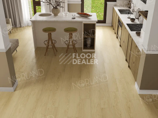 Norland Elegant Strong 12мм Дуб Азор LF302-05 фото 2 | FLOORDEALER