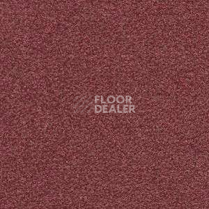 Ковролин Radici Montecarlo 3 фото 1 | FLOORDEALER