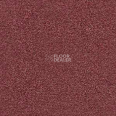 Ковролин Radici Montecarlo 3 фото 1 | FLOORDEALER