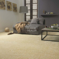 Sintelon Sensa 87268 фото 2 | FLOORDEALER