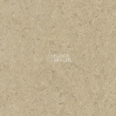 Линолеум Marmorette DLW 2.5mm 0092 Beach фото 1 | FLOORDEALER