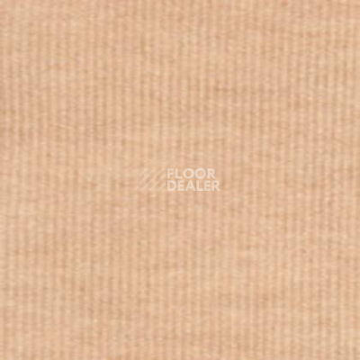 Ковролин Tapibel Secura 48104 фото 1 | FLOORDEALER