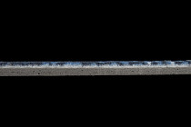 Forest 1755 042 фото 4 | FLOORDEALER