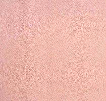 Линолеум Lg Calmpasso CP 93505 фото 1 | FLOORDEALER