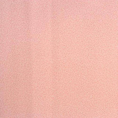 Линолеум Lg Calmpasso CP 93505 фото 1 | FLOORDEALER