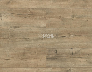 Ламинат Kronopol Platinium Terra AQUA BLOCK 8mm Kronopol Platinium Terra Aqua Block 24h Дуб Амальфи D4915 фото 1 | FLOORDEALER