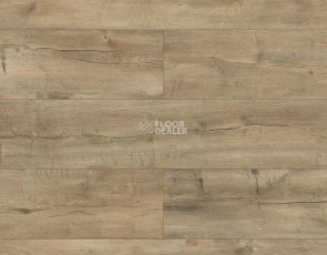 Kronopol Platinium Terra AQUA BLOCK 8mm Kronopol Platinium Terra Aqua Block 24h Дуб Амальфи D4915 фото 1 | FLOORDEALER