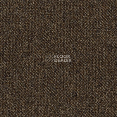 Ковровая плитка Desso Natural Nuances 9050 фото 1 | FLOORDEALER