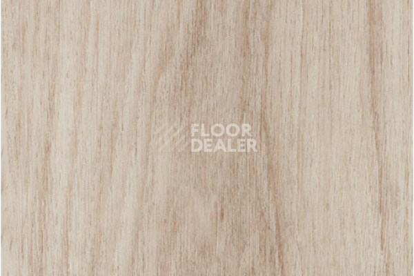 Виниловая плитка ПВХ FORBO allura decibel 0.8 wood 5201AD8 pale authentic oak (100x20 cm) фото 1 | FLOORDEALER