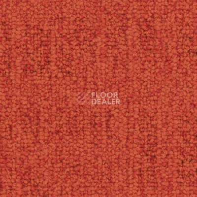 Ковровая плитка Balsan Karma Sonic Confort 440 фото 1 | FLOORDEALER