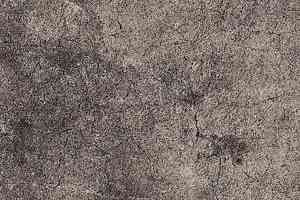 Ковролин Ege Highline Nature rf 5500605 фото  | FLOORDEALER