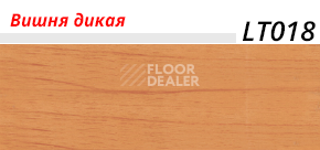 Плинтус с мягким краем LinePlast LT018 фото 2 | FLOORDEALER