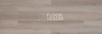 Floorway Standart 12мм YLM-2869 Дуб Дубай фото 2 | FLOORDEALER