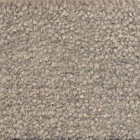 Ковролин Emphatic Beaulieu of America 56543 фото 1 | FLOORDEALER