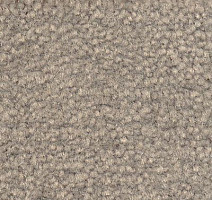 Ковролин Emphatic Beaulieu of America 56543 фото 1 | FLOORDEALER