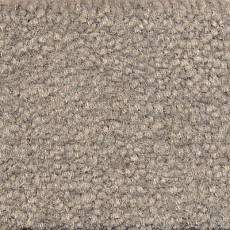 Ковролин Emphatic Beaulieu of America 56543 фото 1 | FLOORDEALER