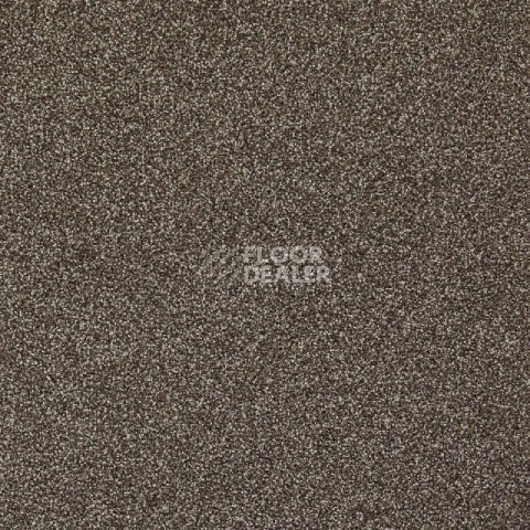 Ковролин Betap Transmit 90 фото 1 | FLOORDEALER