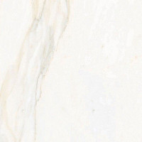 Керамогранит Calacata 596X596 Calacata Gold 59,6 x 59,6 фото 1 | FLOORDEALER