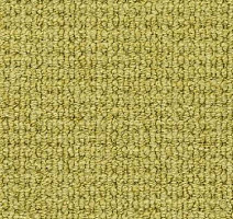 Ковролин Desso Conga 2005 фото 1 | FLOORDEALER