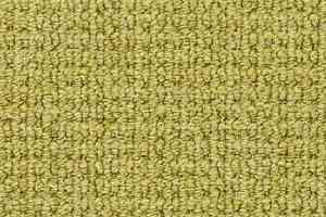 Ковролин Desso Conga 2005 фото  | FLOORDEALER