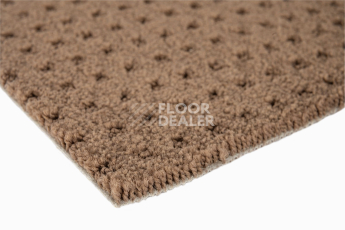 Balsan Territoires Atrium 661 фото 6 | FLOORDEALER