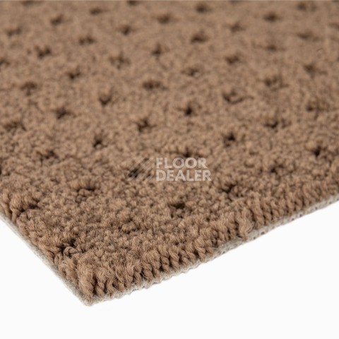 Balsan Territoires Atrium 661 фото 6 | FLOORDEALER