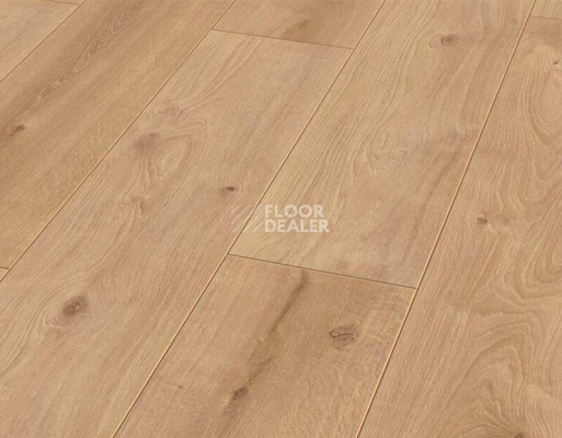 Ламинат Rooms Loft 10мм R1021A Дуб Кашмир натуральный фото 1 | FLOORDEALER