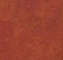 Marmoleum Modular Colour 3203 фото 1 | FLOORDEALER
