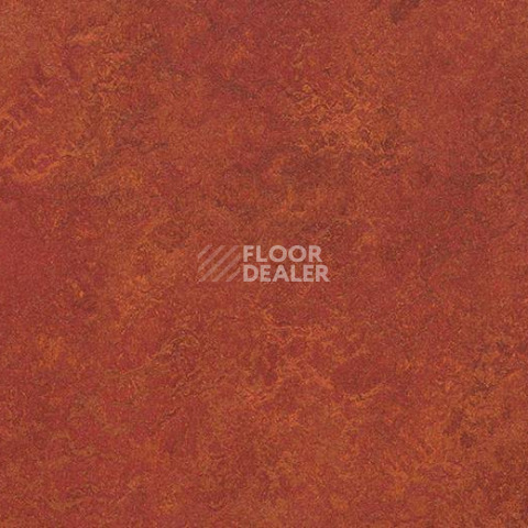 Кварцвиниловые полы Forbo Marmoleum Modular Colour 3203 фото 1 | FLOORDEALER