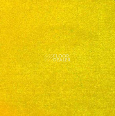 Ковролин Sintelon Festa 99735 фото 1 | FLOORDEALER