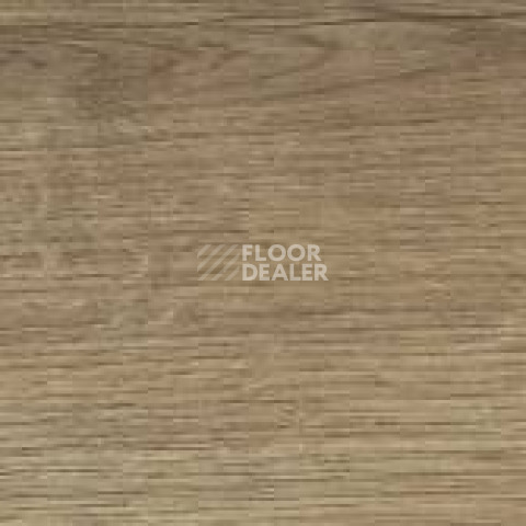 Керамогранит Jungla 19.5X120 Iroko фото 1 | FLOORDEALER