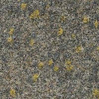 Ковролин Finett Vision Focus 805552 фото 1 | FLOORDEALER